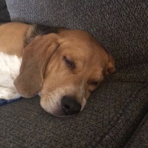 Meet your Posher, Richard